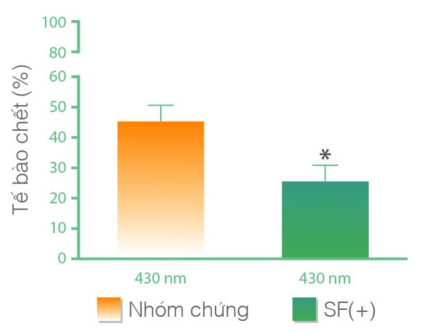 
Broccophane giúp giảm tỷ lệ tế bào võng mạc chết do tác động của ánh sáng xanh. (Nguồn: Nghiên cứu Rejuvenation Research, Vol. 9, No 2, 2006.)
