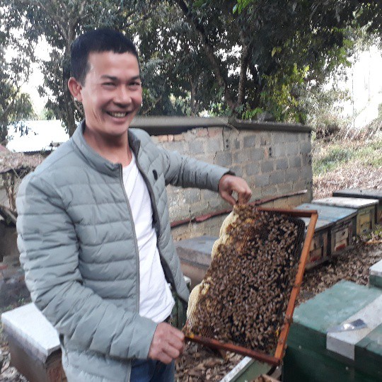 Theo anh Thạo, muốn nuôi ong đạt hiệu quả kinh tế cao thì phải thường xuyên di chuyển đàn ong đến nơi có nhiều cây, hoa