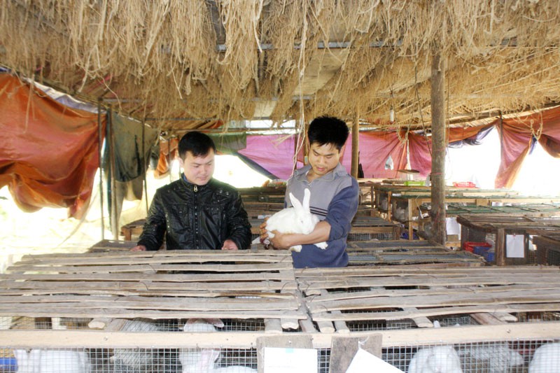 Anh Hậu đã thành công trong việc đưa con thỏ lên vùng cao (ảnh Viết Đào).