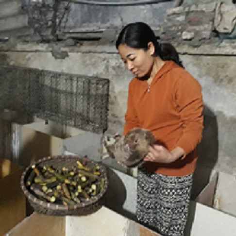 Trong chuồng nh&agrave; anh Toản thường xuy&ecirc;n duy tr&igrave; 500 con d&uacute;i ở c&aacute;c độ tuổi kh&aacute;c nhau