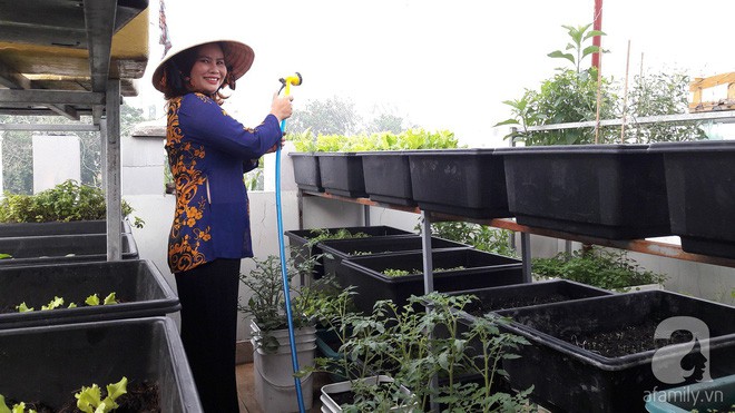Chị Thương chăm chút cho vườn cây của mình rất tỉ mỉ, công phu.