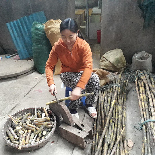 M&iacute;a l&agrave; thức ăn kho&aacute;i khẩu của đ&agrave;n d&uacute;i