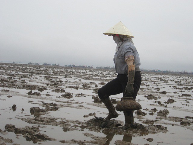 Phương tiện di chuyển là một tấm vát lướt trên bùn. Ảnh: Minh Thượng