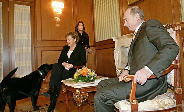 
Chú chó Konni được chủ cưng đến mức cho gặp những nhà lãnh đạo lớn trên thế giới. Trong ảnh Konni diện kiến Thủ tướng Đức Angela Merkel
