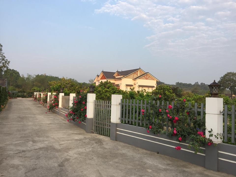 Ngôi nhà có hoa hồng trải dài từ cổng vào tận nhà. Hai bên hàng rào là những gốc hồng tường vi leo màu đỏ có mùi thơm ngọt. Quanh nhà và hiên sân, những bụi hồng đào cổ dìu dịu màu phấn hồng lãng mạn và tỏa hương ngào ngạt. Còn lại toàn bộ từ sân trở là trồng hồng cổ Sapa và một số giống hồng khác”, chị Quyên mô tả.