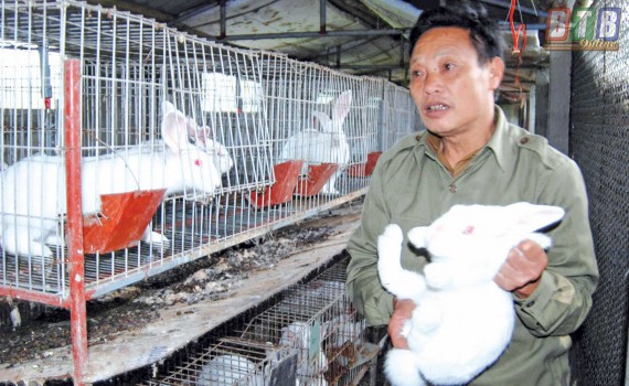 Ông Vũ XuânThọ giới thiệu cách kiểm tra thỏ nái để chuẩn bị phối giống hiệu quả.