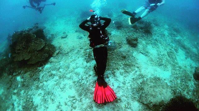 Ảnh chụp hoàng tử Mateen đang lặn để nhìn ngắm các rạn san hô tuyệt đẹp.