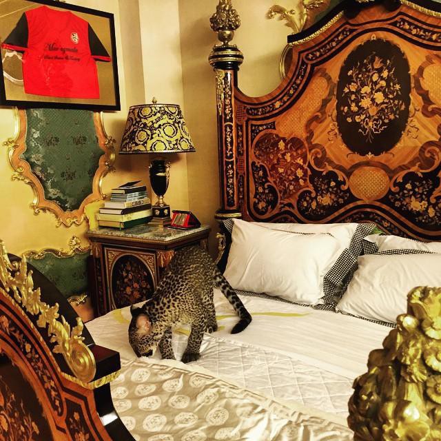 Còn đây là chiếc giường ngủ hoàng gia của anh chàng hoàng tử Mateen. Ơ kìa, chẳng phải đó là một chú báo đó sao?