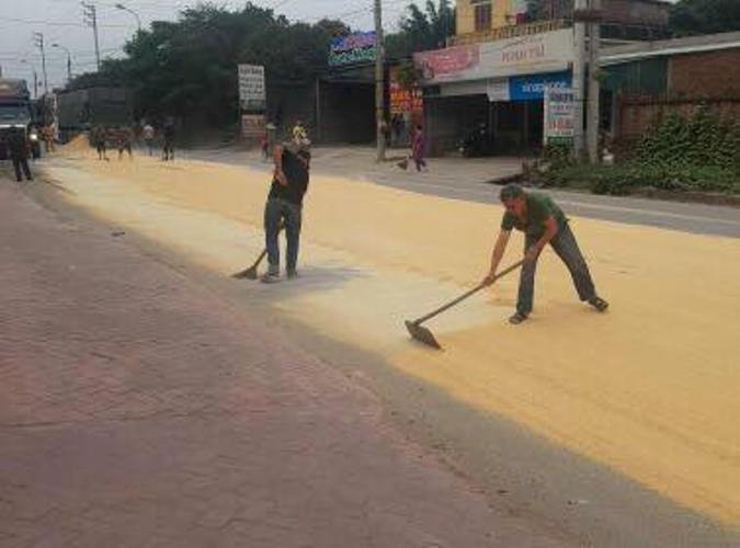 Số lượng ngô, lac rơi vãi trên đường được mọi người thu gom giúp. Ảnh: Bạn đọc cung cấp
