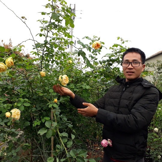 Anh Hùng cho biết, khách hàng mua hoa của anh đến từ nhiều tỉnh, thành phố phía Bắc