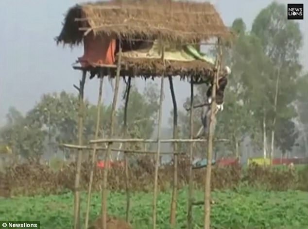 Ở nhiều nơi, khu vực tiếp giáp giữa khu bảo tồn và trang trại của người dân chỉ cách khoảng 9 mét và lại không có hàng rào chắn để ngăn cách.