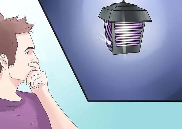 Sử dụng đèn bắt côn trùng khi cần thiết.