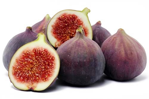 Giống sung Mỹ trồng tại Việt Nam đang c&oacute; gi&aacute; b&aacute;n 400.000 đồng một kg.