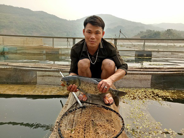 Tòng Văn Hưng thường xuyên kiểm tra tốc độ sinh trưởng của đàn cá.