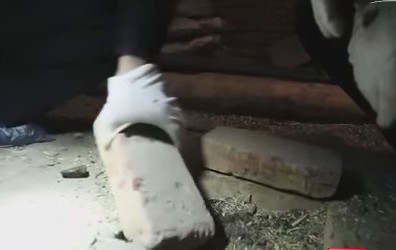 
Hai viên gạch lát nền nhà kho bị lật lên.
