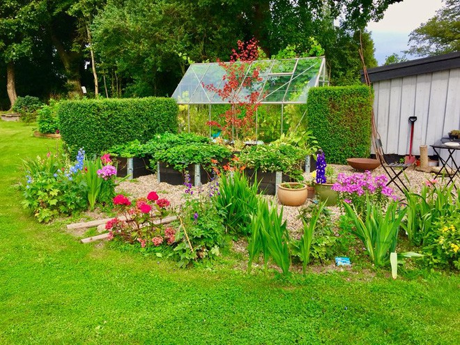 Hai chàng trai còn tạo nhà kính nhỏ xinh.