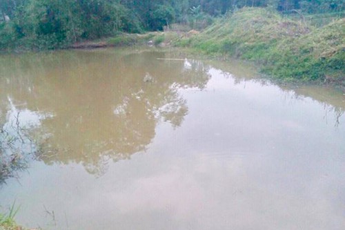 Hồ nước nơi hai em Minh v&agrave; Th&ocirc;ng gặp nạn. Ảnh: Đ.H