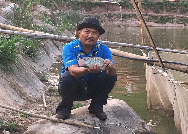Nhờ cách chăm sóc tốt, nên đàn cá của gia  đình ông Xinh phát triển rất khỏe mạnh.
