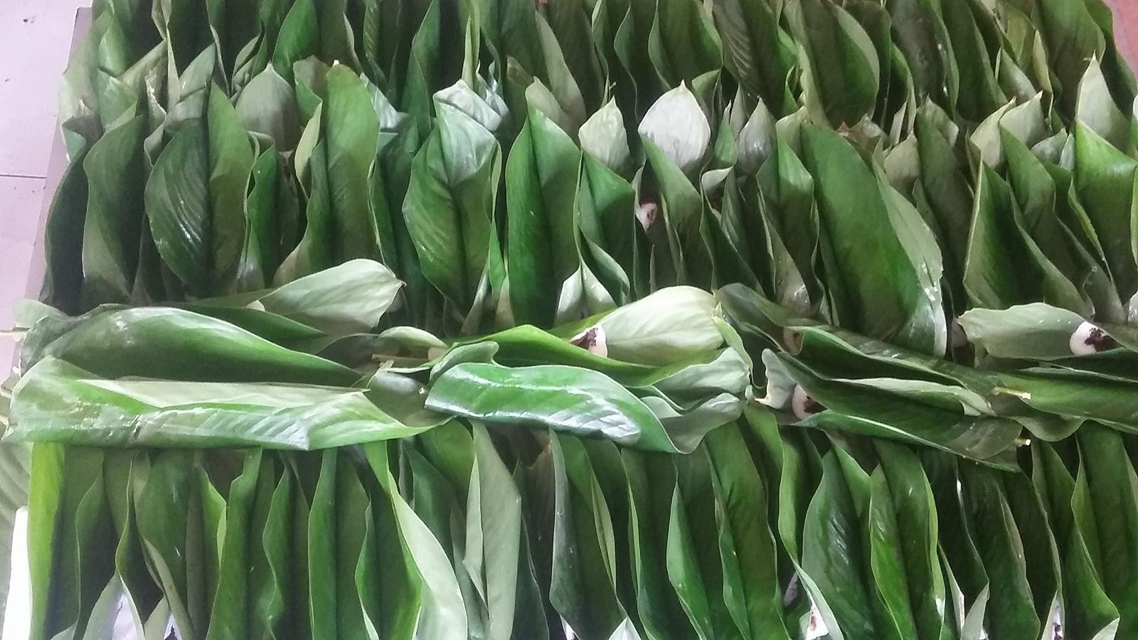 Những chiếc bánh tẻ đã “ra bột- vào nhân” được cuộn trong chiếc lá dong rất bắt mắt và hấp dẫn.