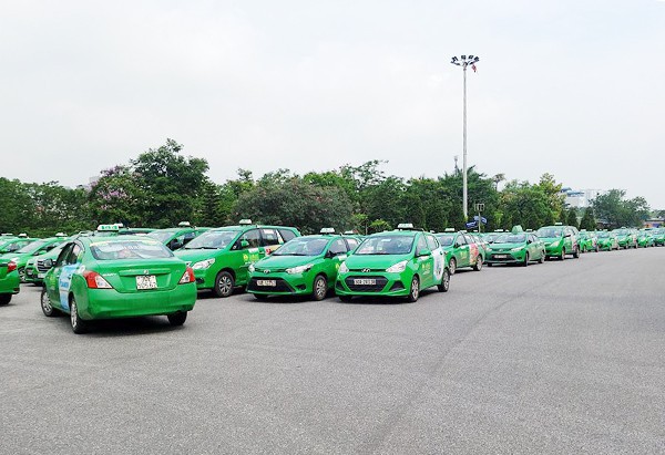Theo ghi nhận thực tế của PV, có việc hàng trăm xe taxi đỗ gọn gàng bên trong SVĐ Mỹ Đình.