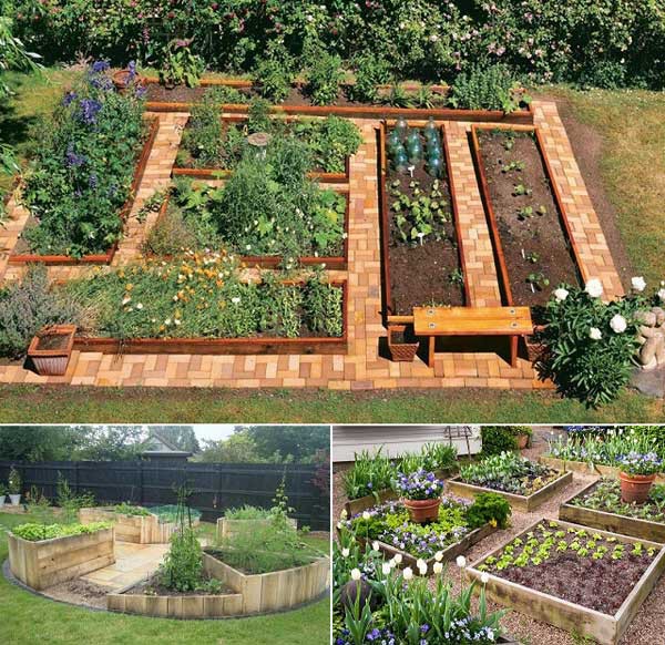Chắc chắn bạn sẽ yêu thích khu vườn, mải mê trồng rau khi tạo các khu vực trồng theo hình thù nhất định.