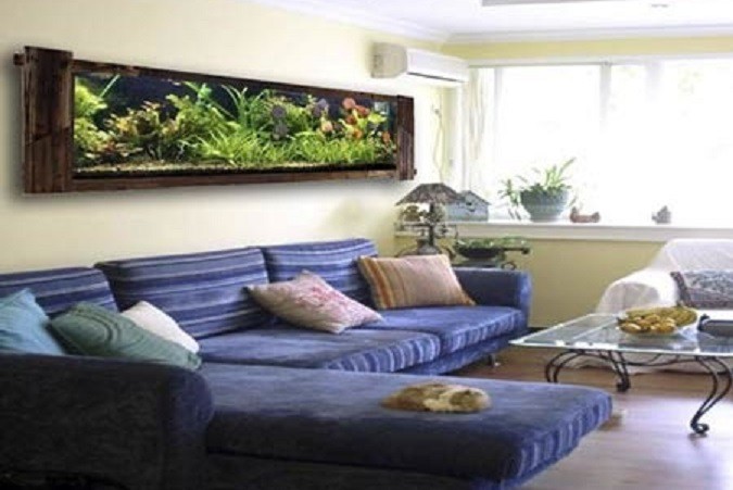  Đặt bể c&aacute; ph&iacute;a tr&ecirc;n s&ocirc; pha l&agrave; kh&ocirc;ng tốt. Ảnh minh họa. 