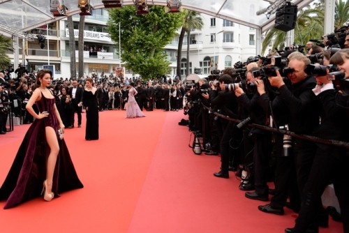 Người đẹp khẳng định mình xuất hiện trên thảm đỏ Cannes không phải để diễn, để đi cho vui.