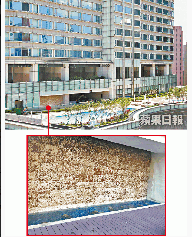 Khu vực tiểu cảnh nơi cậu b&eacute; 8 th&aacute;ng bị rơi xuống.