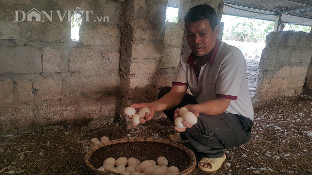 lam giau o nong thon: nuoi con cac cac nhan lai rung rinh tien tieu hinh anh 2