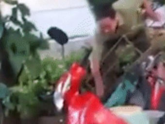 Nam thanh ni&ecirc;n quay clip tố c&ocirc;ng an x&atilde; l&agrave;m hỏng t&agrave;i sản của m&igrave;nh (nguồn: facebook)