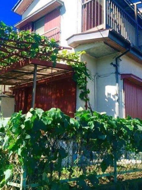 
Giàn nho trước cửa ngôi nhà của gia đình Nhật Linh. Thầy giáo Linh nói rằng, ông cảm nhận thấy cô bé vẫn đến lớp đều đặn mỗi sáng.
