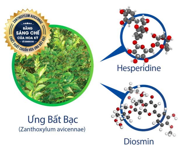 
Ưng Bất Bạc chứa Hesperidine và Diosmingiúp phục hồi và tái tạo tế bào gan
