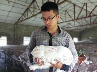 Với đam mê và sự yêu thích loài vật, đặc biệt là loài thỏ, 9X kính cận Đặng Khánh Duy đã thành công với mô hình nuôi thỏ của mình.