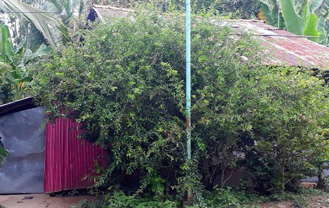 Ngôi nhà xảy ra vụ việc.