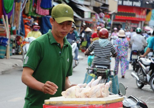 Mỗi con gà mái đẻ thải loại có giá 70.000 đồng. Ảnh: Hồng Châu.