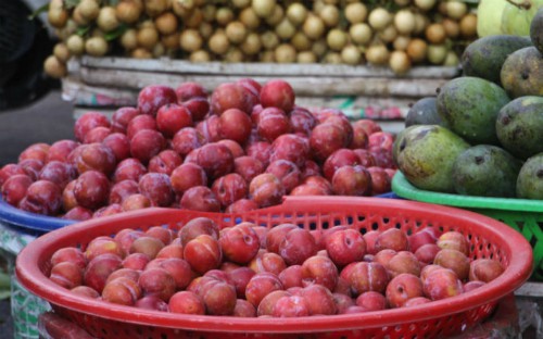 Mận bày bán thời gian này có màu hồng tươi, không giống mận Việt Nam. Ảnh: Thi Hà