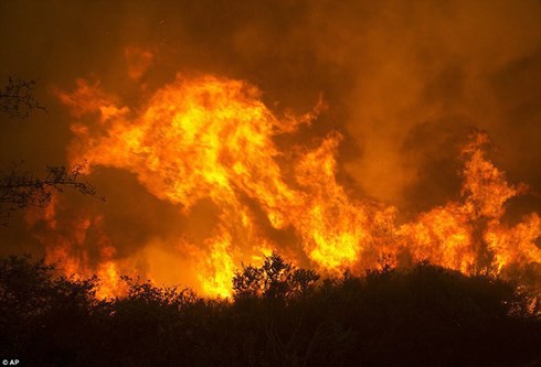 
Ch&aacute;y rừng dữ dội tại California, Mỹ. Ảnh: AP.
