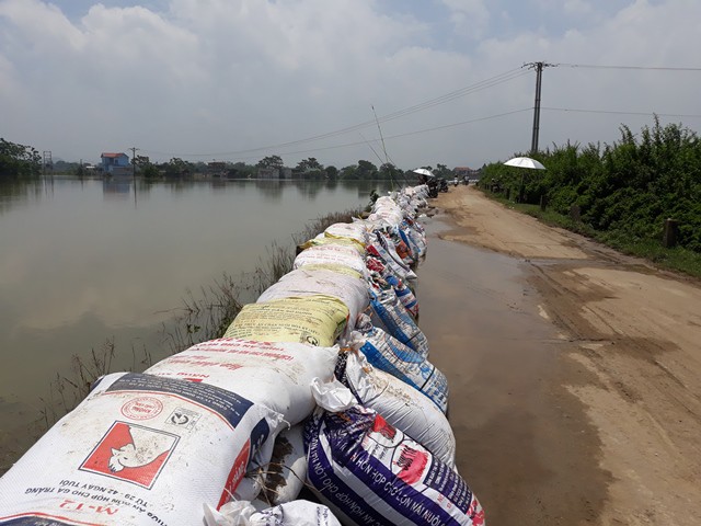 
Chiều 31/7, về cơ bản đ&ecirc; s&ocirc;ng B&ugrave;i được gia cố, đảm bảo an to&agrave;n. Nhưng nh&igrave;n mực nước ch&ecirc;nh lệch, kh&ocirc;ng &iacute;t người d&acirc;n vẫn lo ngại. Ảnh: Vi B&igrave;nh
