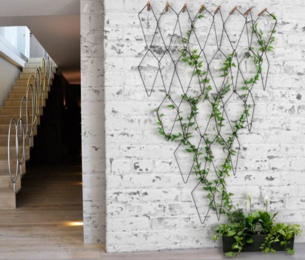 Lối vào nhà được thiết kế khéo léo bởi những viền kim loại treo thành hình tam giác. Góc nhỏ được trồng cây leo đơn giản giúp màu xanh “phủ sóng” làm duyên cho không gian.