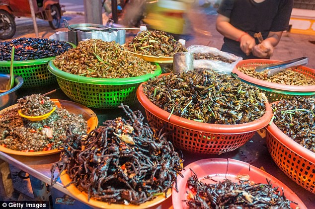 Phiên chợ truyền thống bày bán la liệt đủ mọi loại côn trùng