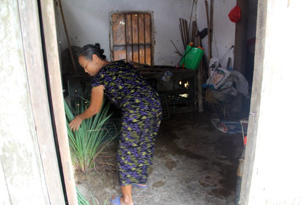 Bà ngoại nghèo khó đã đùm bọc Phương sống trong tuổi thơ chịu nhiều thiệt thòi.