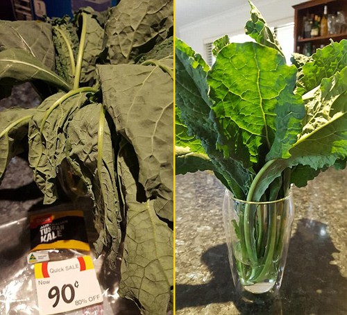 Hình ảnh cây rau héo rũ khi chị Renae mua ở siêu thị và tươi xanh sau một đêm được ngâm nước. Ảnh: Facebook.