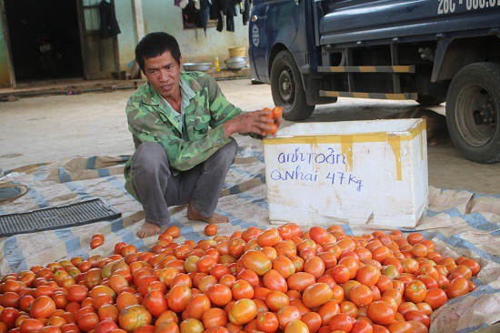 lam giau o nong thon: chi trong rau, ca thoi ma toi lai 400 trieu hinh anh 3