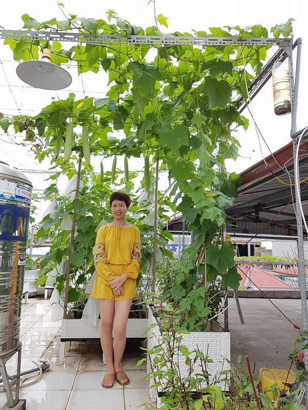 Vườn rau chẳng khác gì “nông trại” trên sân thượng của bà mẹ trẻ ở Hải Phòng