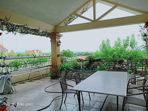 Anh Quang Huy cho biết, 4 năm trước, khi xây dựng căn nhà rộng 75m2, anh đặc biệt chú ý đến việc tạo không gian xanh mướt để cả gia đình có thể ngồi thư giãn, ngắm cảnh.