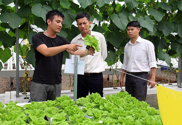 Anh Tống Văn Tài (bìa trái) giới thiệu về vườn rau sạch thủy canh của mình với các chuyên viên của Sở Khoa học - công nghệ.