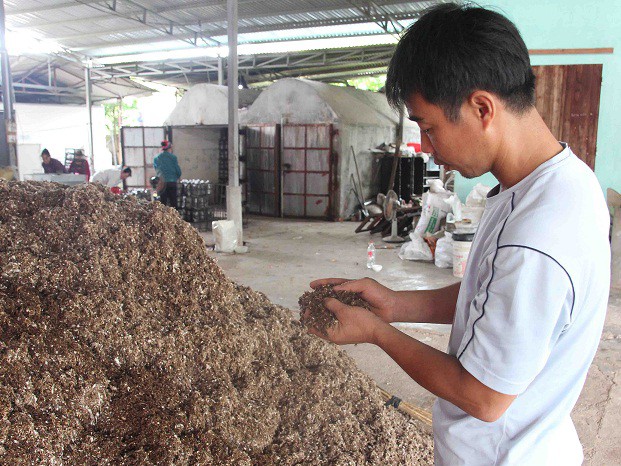 Anh Hiệp kiểm tra nguyên liệu làm giá thể trồng nấm