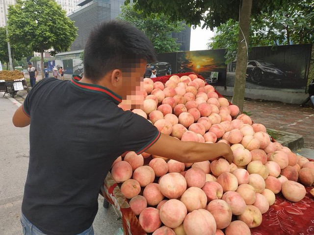 
Đào tiên khổng lồ nhiều quả nặng tới cả cân khiến nhiều bà nội trợ hiếu kỳ.
