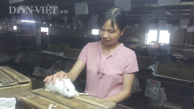 Nhờ nuôi thỏ mà mỗi tháng gia đình chị Phạm Thị Thủy có nguồn thu nhập gần 100 triệu đồng.