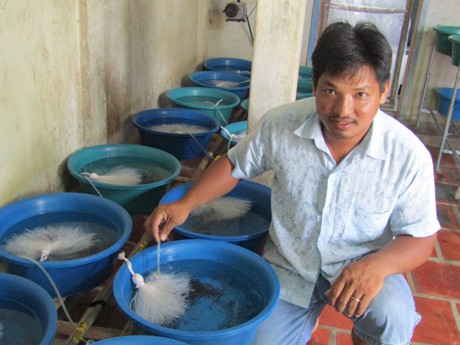 Anh Nguyễn Minh Đời bên các chậu đựng lươn giống để xuất bán cho các khách hàng mua về nuôi thành lươn thịt.